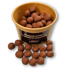 Lískové oříšky v mléčné čokoládě, 100g