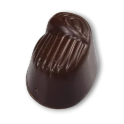 Hořký vlašský ořech