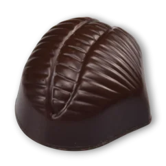 Hořký kaštan
