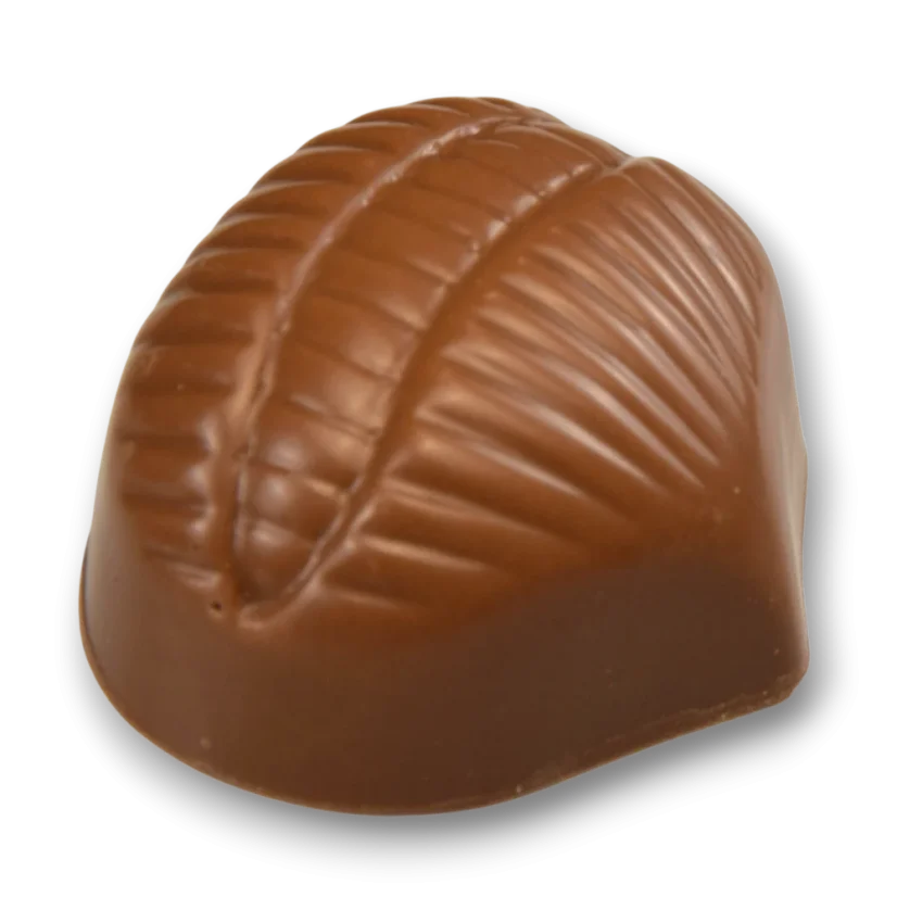 Mléčný kaštan