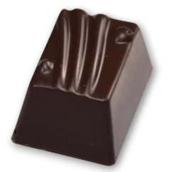 Hořká meruňka