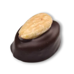 Hořká lázeňská švestka