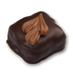 Hořký kokos