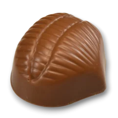 Mléčný kaštan